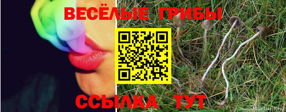 Псилоцибиновые грибы мухоморы  Вход с VPN  Великий Устюг 