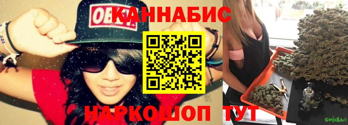 Канабис план Великий Устюг